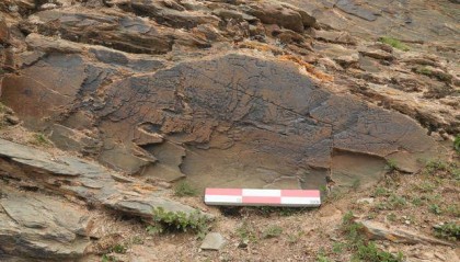 新华图讯丨青海黄河源区确认发现秦代刻石