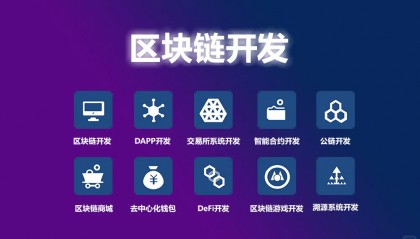 深入了解区块链开发:架构、平台与智能合约