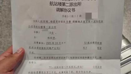 乘客在机场阻止插队被扇耳光 打人方赔偿3500元