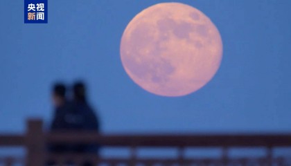 微视频丨人间最美是团圆