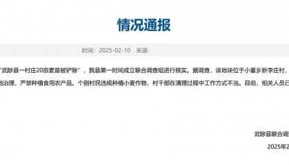 官方通报村民20亩麦苗被铲除,说是土地污染得拿出证据