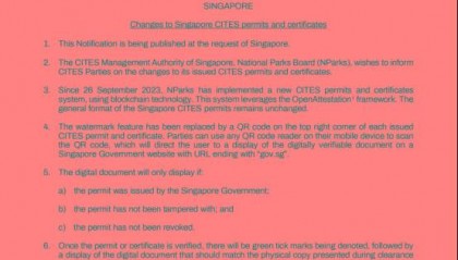 区块链+QR码,新技术确保证书安全性| 新加坡CITES许可证和证书变更