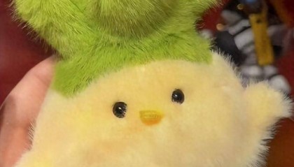 “武汉和平鸟”玩偶“蒜鸟”走红,一天能卖1000多个