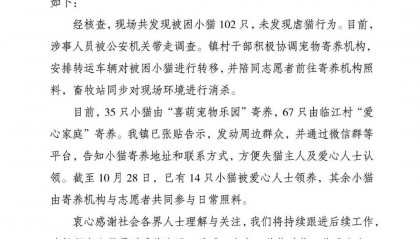 成都一空置房被曝上百只猫被关在铁笼,官方通报:未发现虐猫行为,被困小猫已安全转移,涉事人员被公安机关带走调查