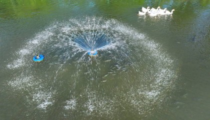 农妇荒塘内开挖养鱼被控罪，免于刑事处罚也很冤