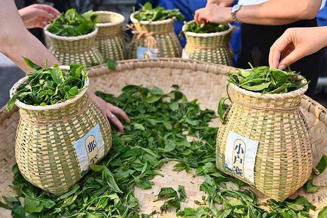 临沧茶产业数字化交易平台上线