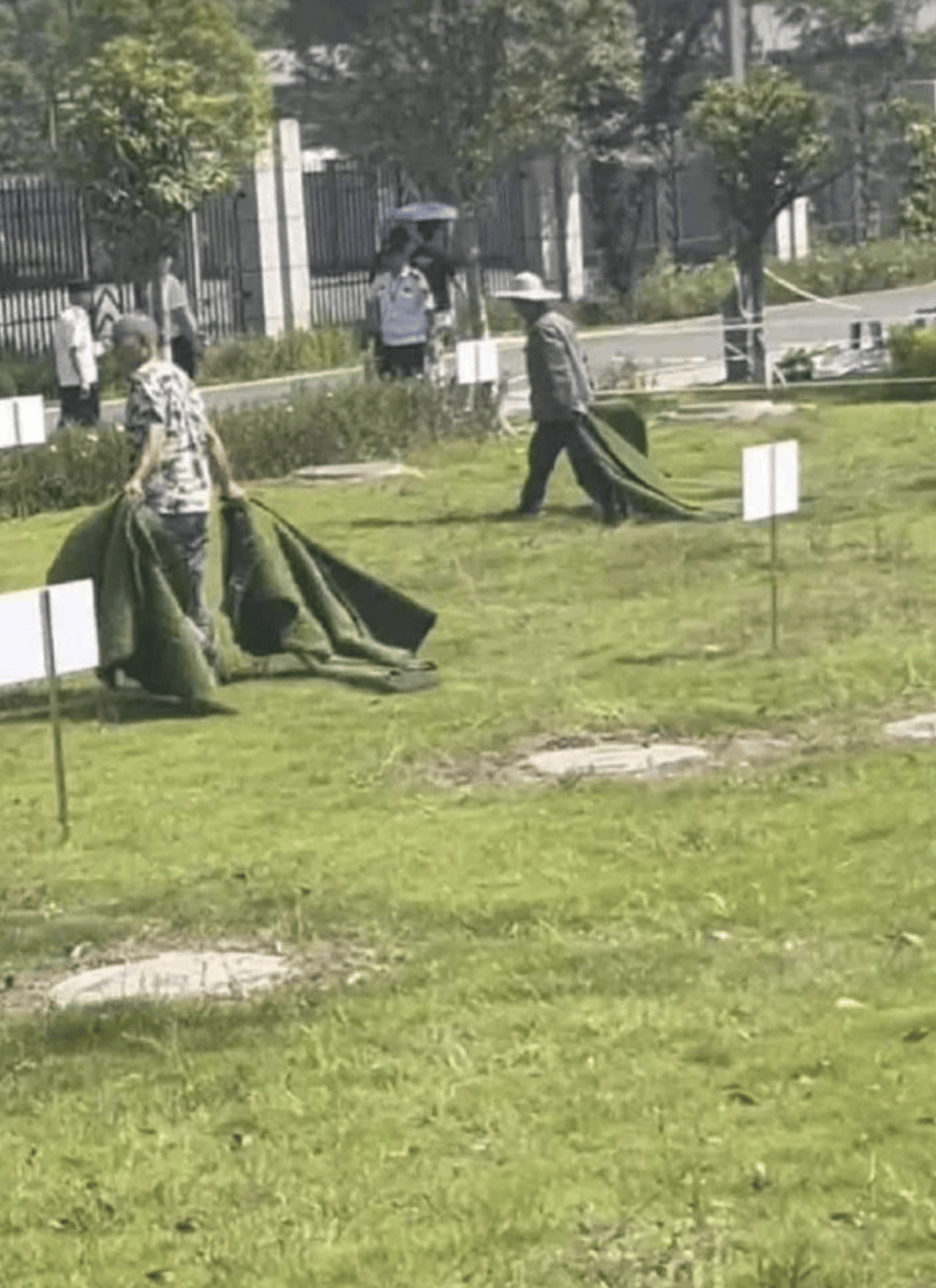 热闻|高校通报学生掉化粪池遇难！同学爆料：化粪池仅用板子盖住，再铺一层草皮美化