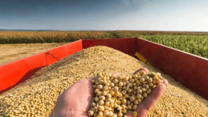 中方履约复购美国大豆，美却偷偷续 301 调查埋雷，特朗普政府直言：没占便宜就是吃亏，心态太流氓！