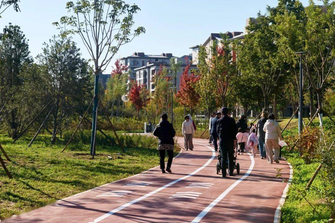 北京新添一个超美大公园!占地超300亩
