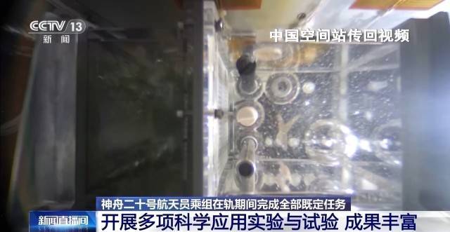 在轨驻留203天 神二十乘组完成了哪些任务?